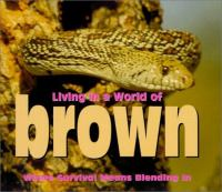 Living_in_a_world_of_brown